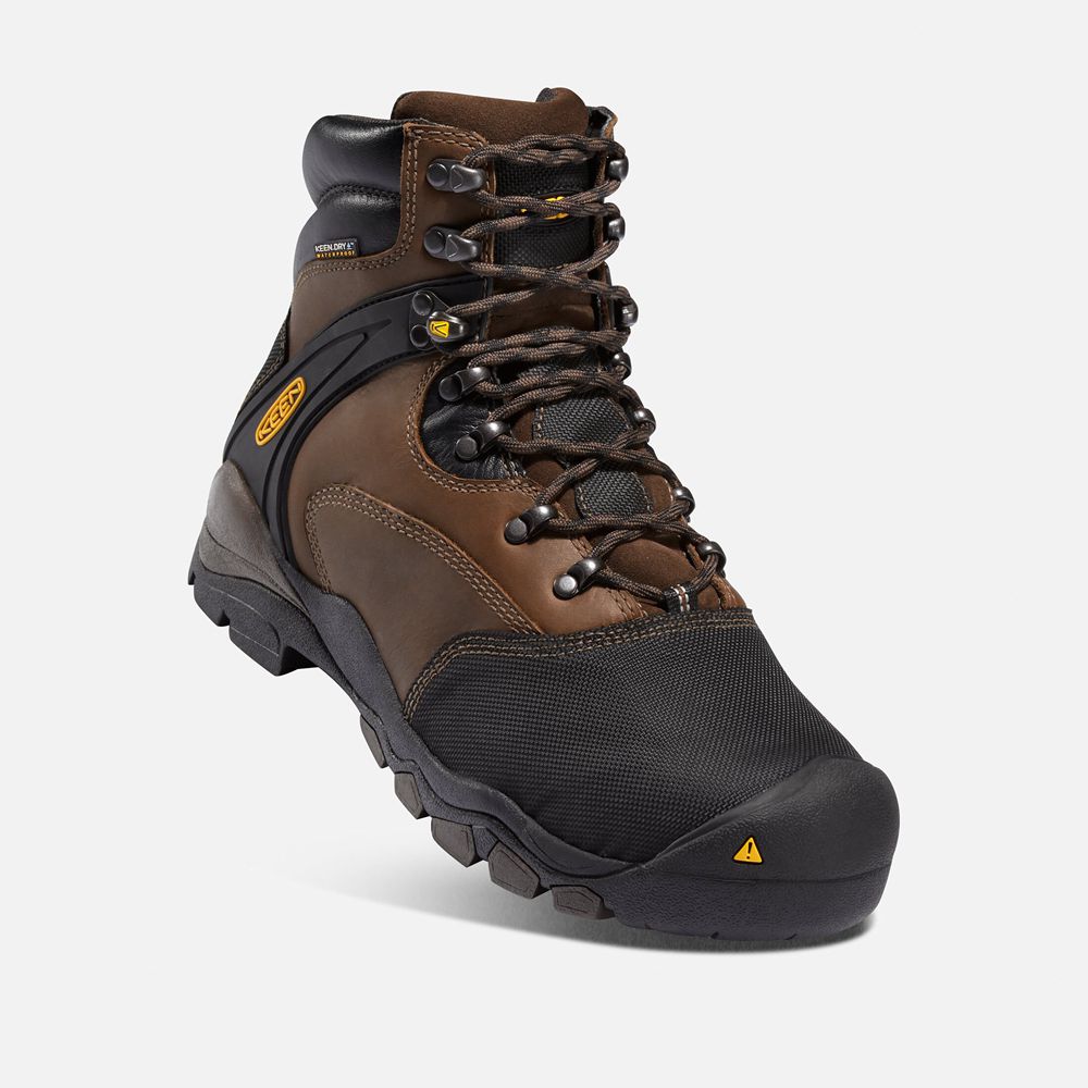 Keen Trekking Bot Erkek Kahverengi/Siyah - Louisville 6\" Met (Steel Toe) - Türkiye NXVM29576